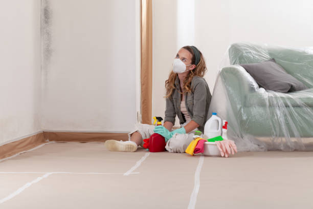 Reliable Mold Remediation contractor in Sea Bright, NJ by 24 Hour Mold Removal